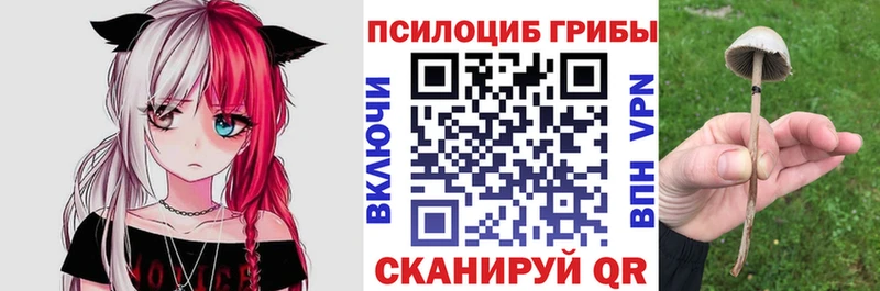 Псилоцибиновые грибы мухоморы  даркнет сайт  Рудня 